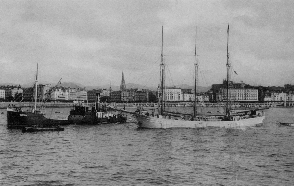 Gaviota - Colección de V. Sanahuja Gaviota - Colección de V. Sanahuja